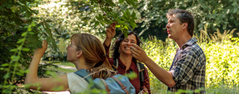 IVN Natuurcursus: Leer de basis