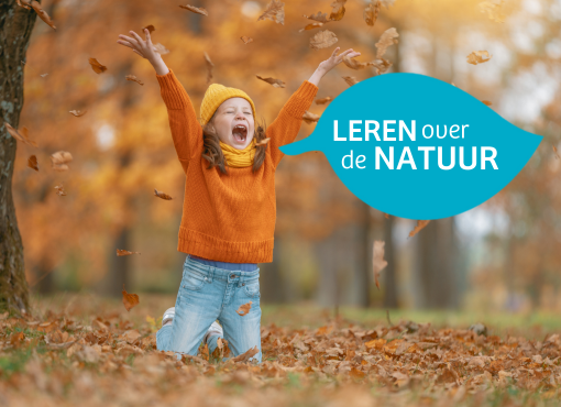 Anne Wieggers bij zonnebloem