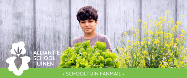 Schooltuin Fanmail