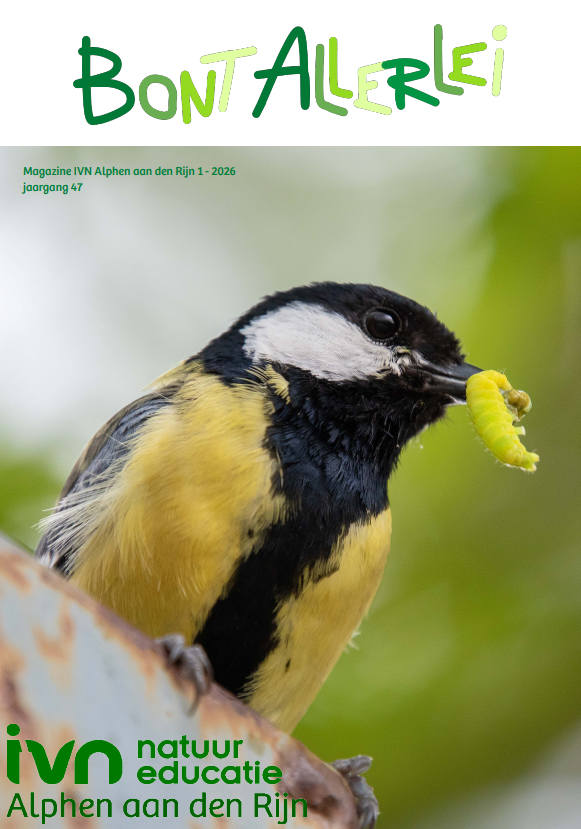 Bont Allerlei nr. 3-2025