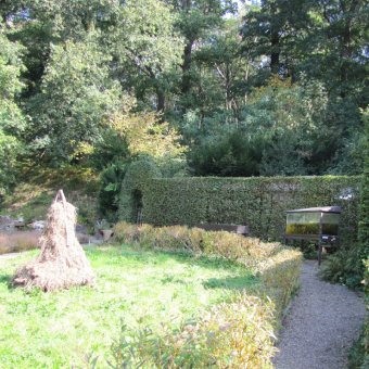 De heemtuin in de zon
