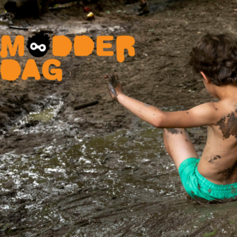 Vrouw werkt in de tuin