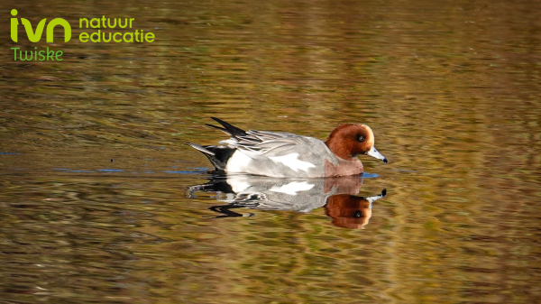 /l/library/download/urn:uuid:5aecc870-075f-4aa3-9e80-be1798aa61e0/header.png?scaleType=1&width=600