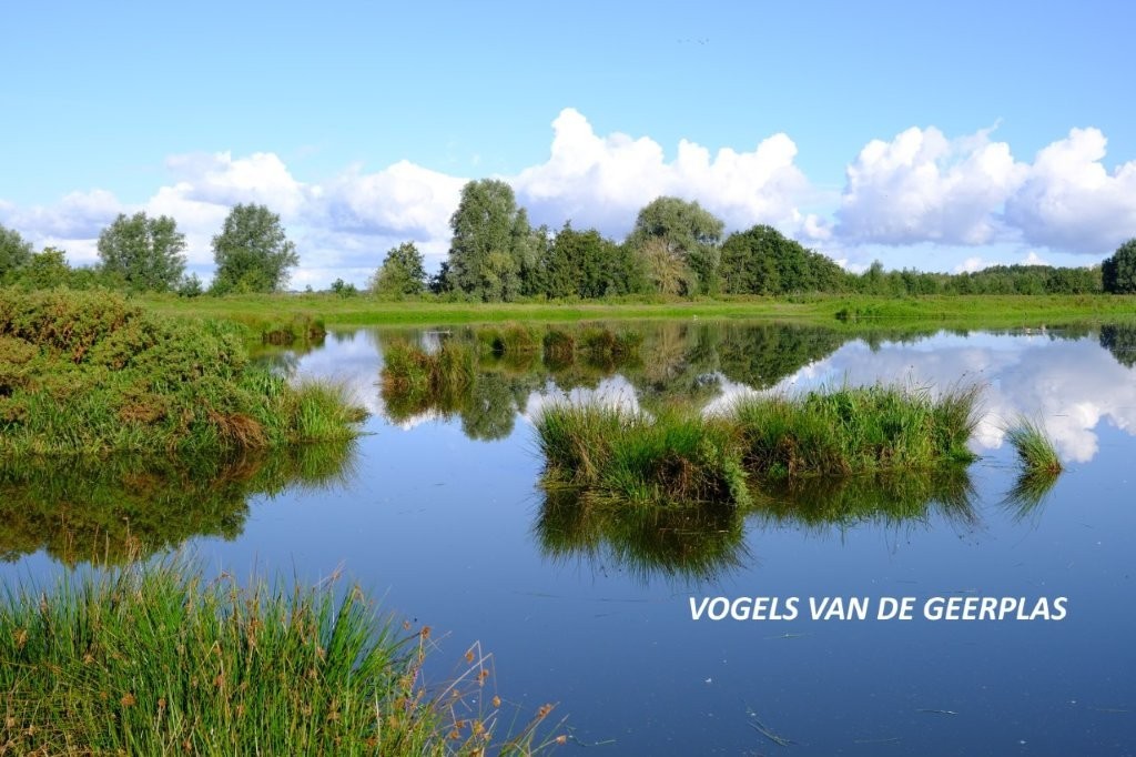 vogels Geerplas. Stef Strik