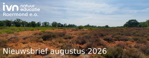 Dorre heide op de Meinwegfoto Frank Heinen